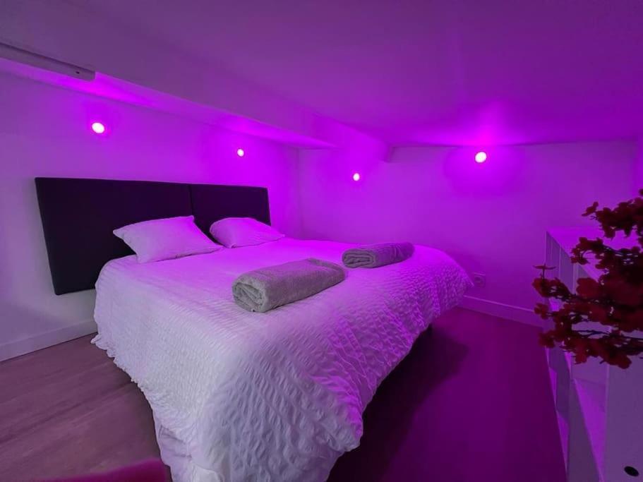 סן-קואן Unique Loft Apartment Located 15 Minutes From The Champs Elysees מראה חיצוני תמונה